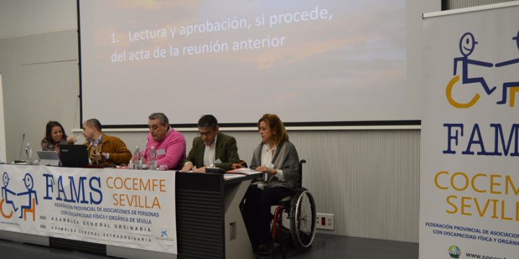 fotografía composición de la mesa de las asambleas de FAMS COCEMFE Sevilla