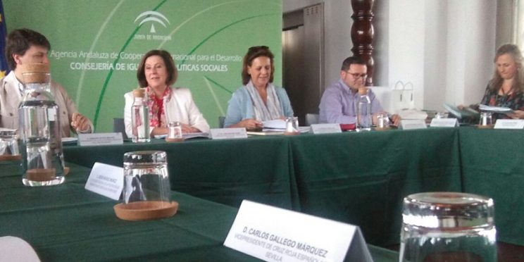 fotografía mesa consejo andaluz del voluntariado