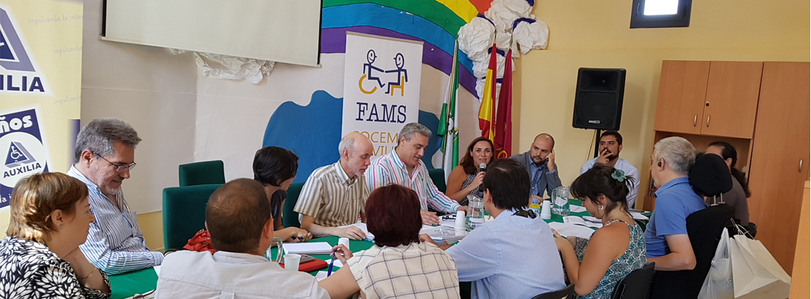 fotografía participantes VI mesa de accesibilidad FAMS-COCEMFE Sevilla