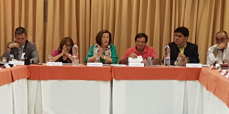 Fotografía participantes en el pleno del Consejo Andaluz de atención a las personas con discapacidad