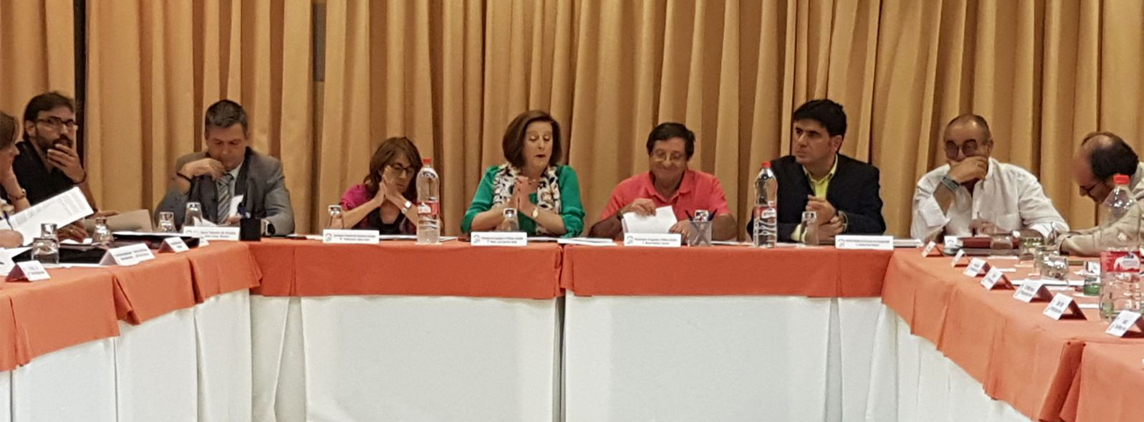 Fotografía participantes en el pleno del Consejo Andaluz de atención a las personas con discapacidad