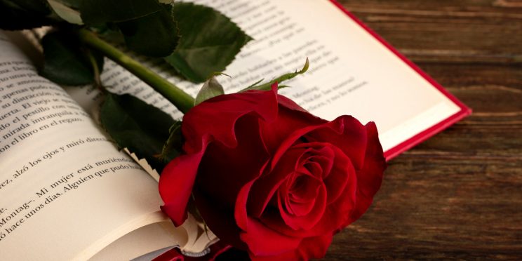Fotografía decorativa de un libro y una rosa roja
