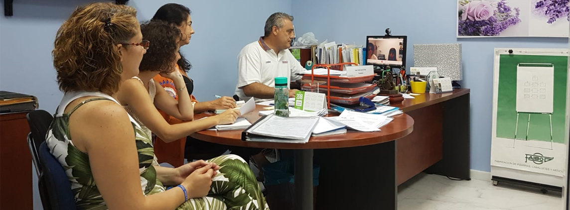 fotografía videoconferencia Andalucía Inclusiva IRPF
