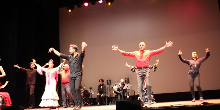 fotografía espectáculo Bienal de Flamenco de Sevilla