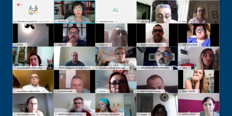 Captura de pantalla de la videoconferencia