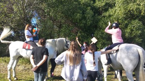 Fotografía terapia caballos Equitea 3