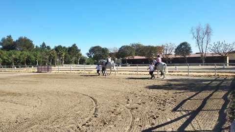 Fotografía terapia caballos Equitea 4