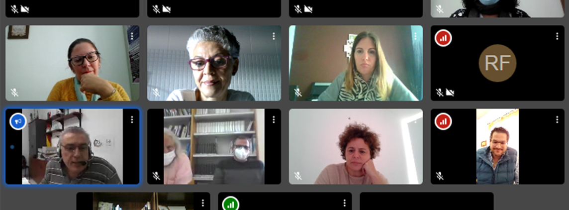 Imagen captura de pantalla primera reunión online con gobiernos locales de zonas rurales de Sevilla