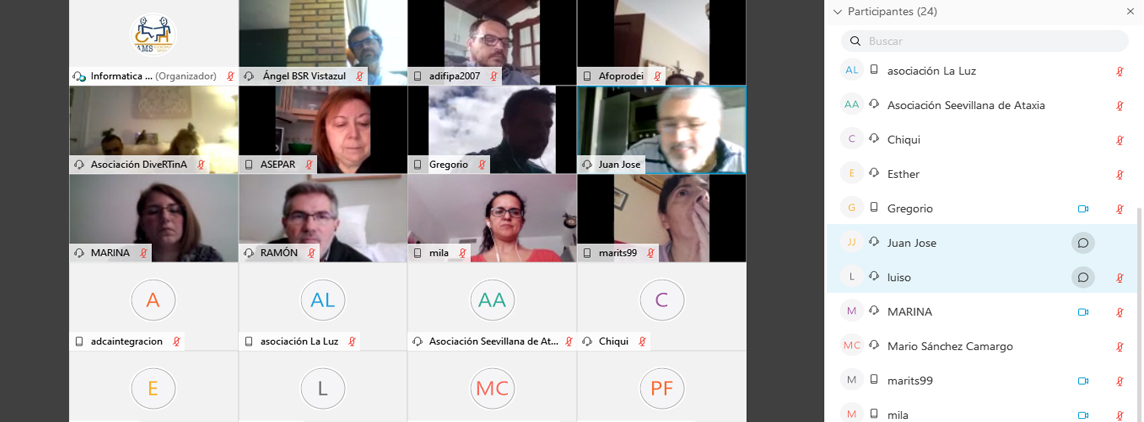 fotografía de la mesa de trabajo online de presidentes de FAMS-COCEMFE Sevilla