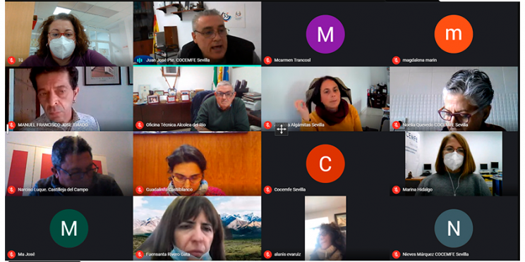 Captura de pantalla de la reunión virtual mantenida entre COCEMFE Sevilla y representantes de diferentes gobiernos locales de zonas rurales