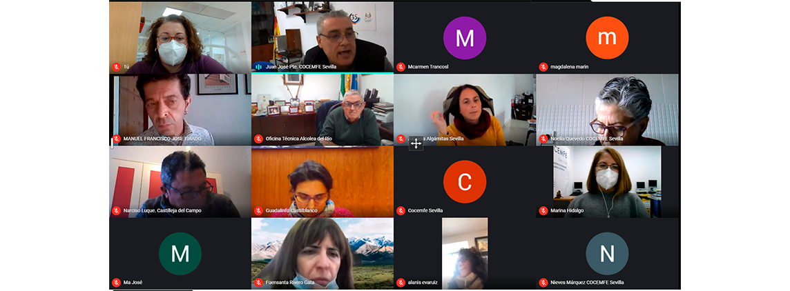 Captura de pantalla de la reunión virtual mantenida entre COCEMFE Sevilla y representantes de diferentes gobiernos locales de zonas rurales