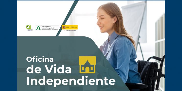 imagen decorativa cabecera-web programa OVI 2021