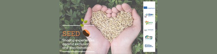 cabecera-SEED