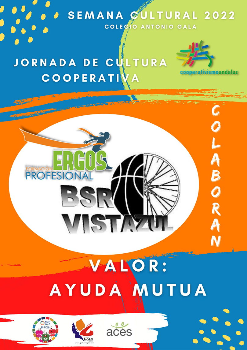 Imagen cartel BSR Vistazul