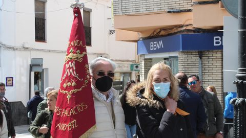 Fotografía La acogida de las Hermandades 21