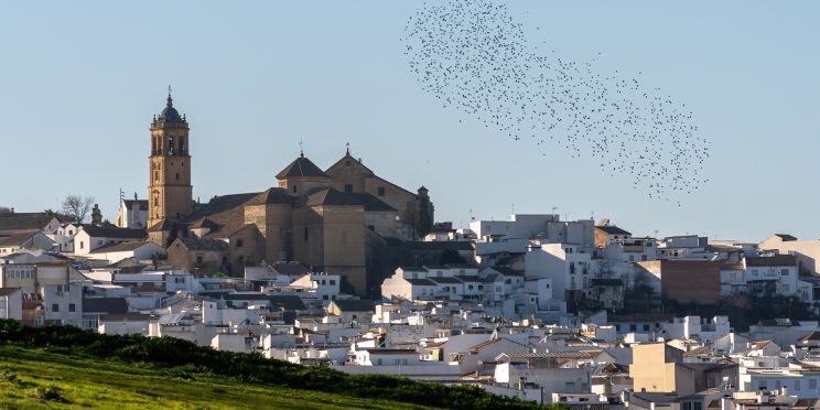Fotografía Zonas Rurales