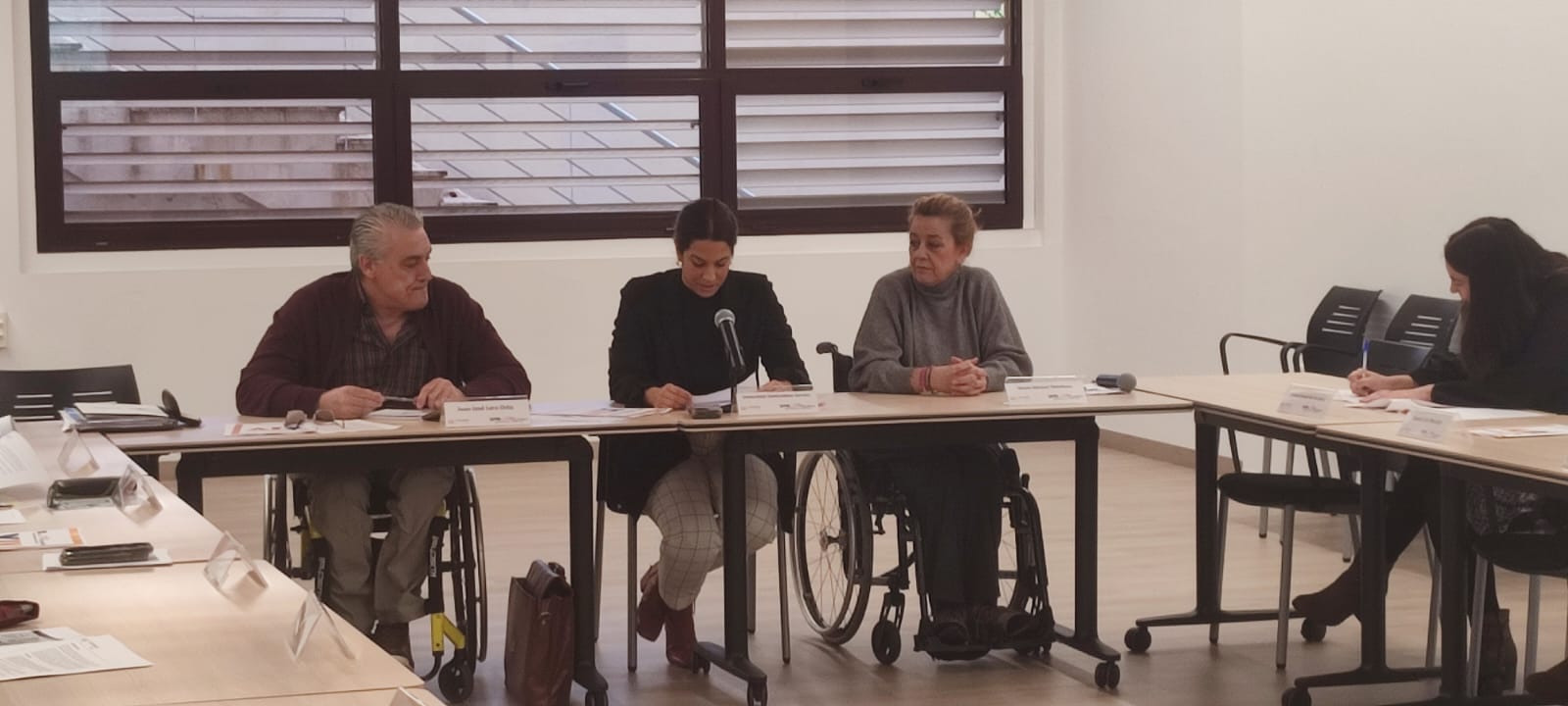 Fotografía XIV Mesa de Accesibilidad Miguel Ramón García