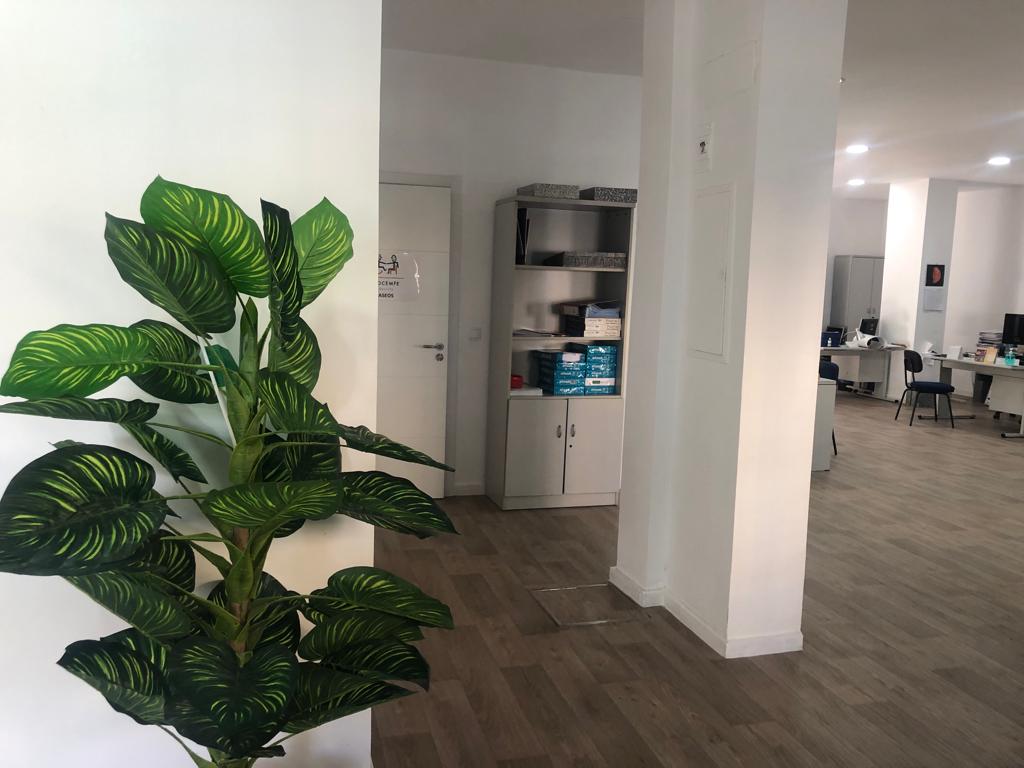 Fotografía COCEMFE Sevilla Sede Villalobos
