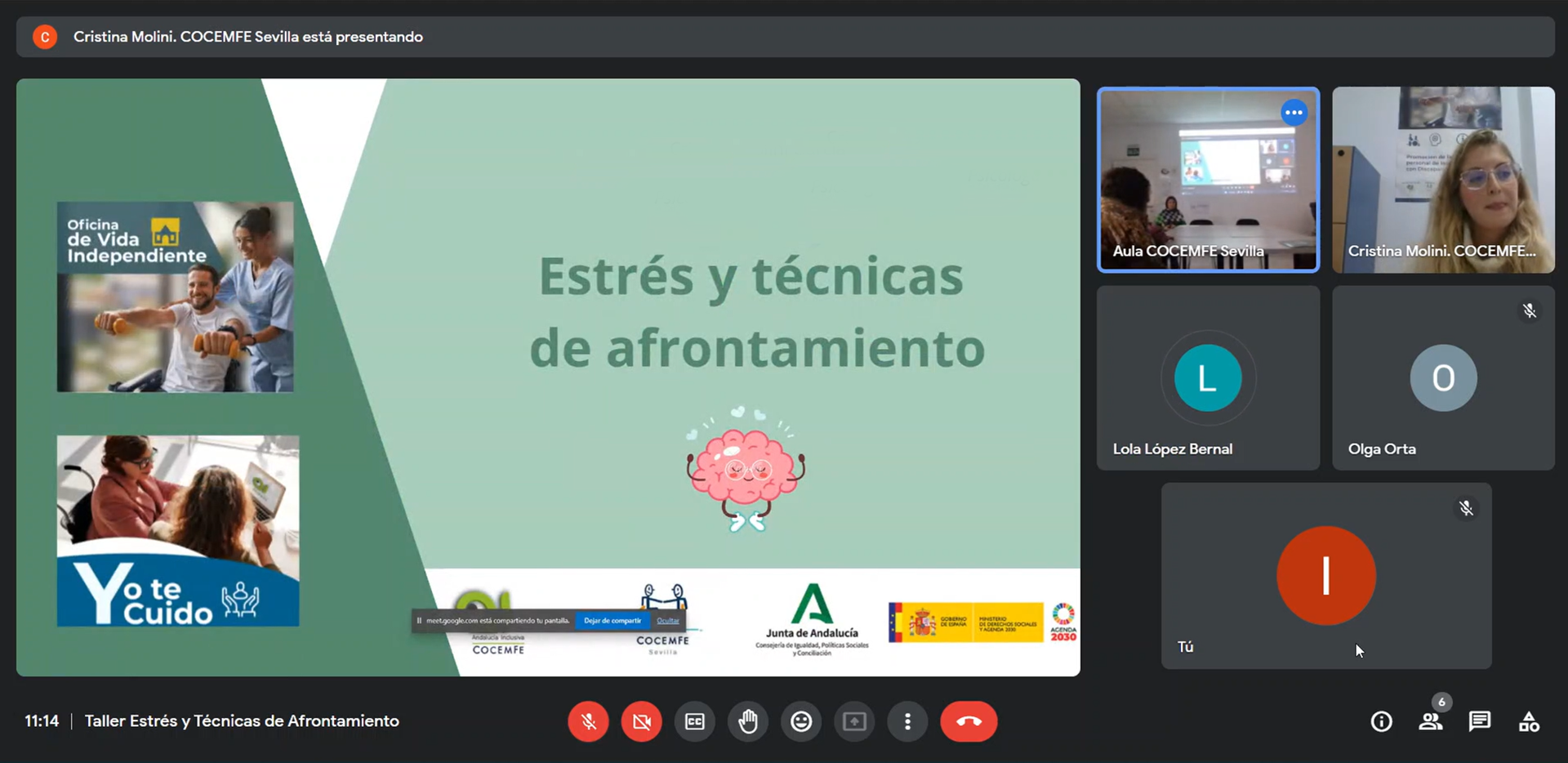 Captura Taller Estrés OVI-YTC