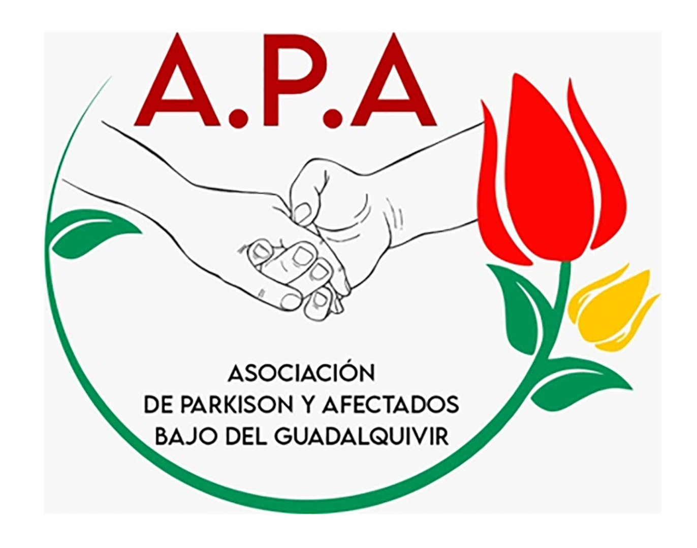 logo apa