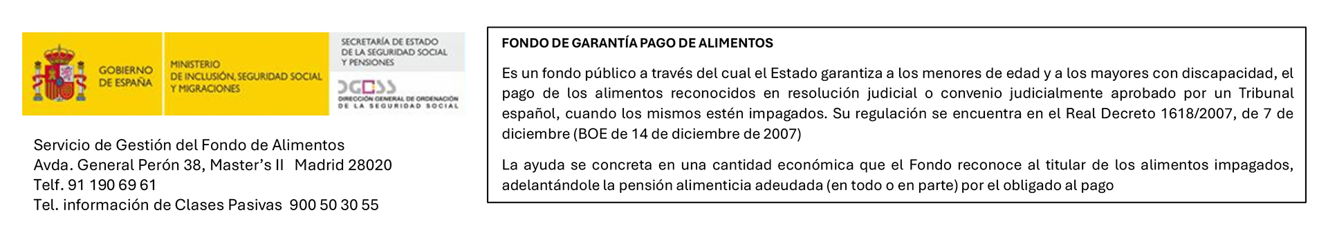 Imagen información general FGPA