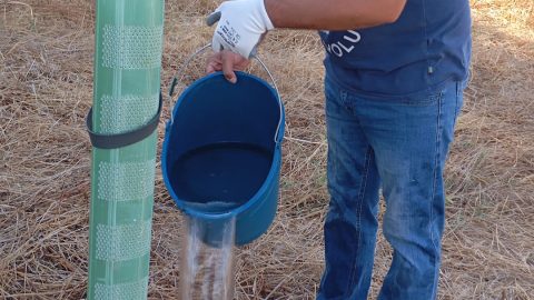 Fotografía programa Be a volunteer jóvenes en acción medioambiental en el parque Vega de Triana