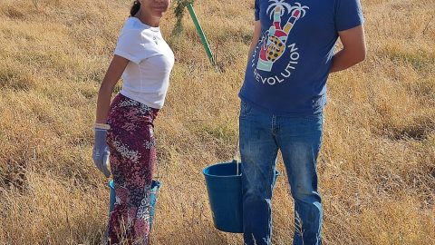 Fotografía programa Be a volunteer jóvenes en acción medioambiental en el parque Vega de Triana