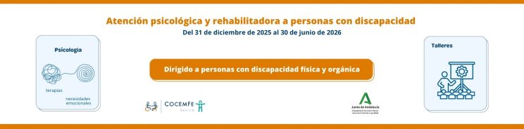 Imagen decorativa cabecera-web programa Atención psicológica y rehabilitadora a personas con discapacidad2026